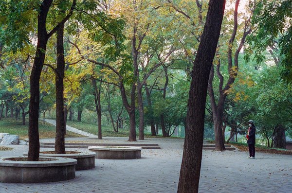 La dentition de l'enfant: Comment bien prendre soin ?